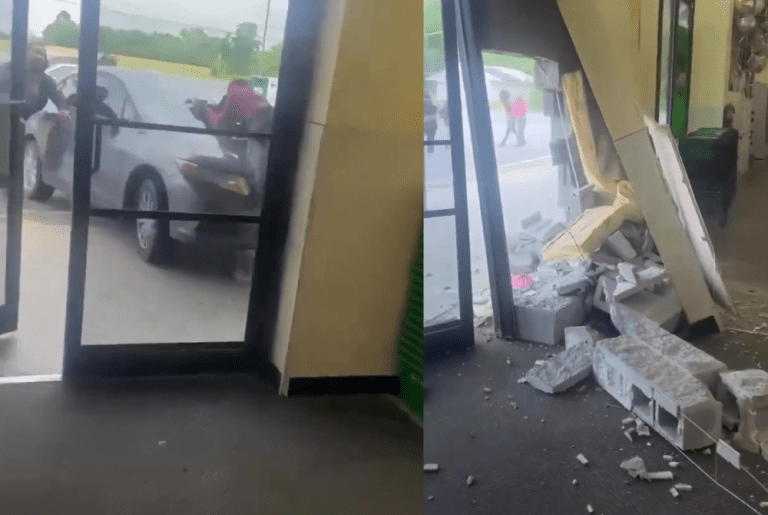 Car Slams Into South Carolina Dollar Tree During Brawl Involving Teens and Adults