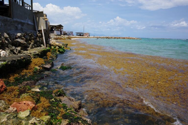 6 Teens Robbed, Sexually Assualted, and Injured By Gunman at Hellshire Beach